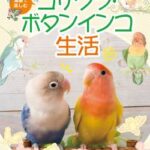 【悲報】ワイの両親、ペットのコザクラインコを半年足らずで死なせる快挙達成