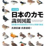 【画像】 Wikipediaさん、感動的なメッセージを読者に送る