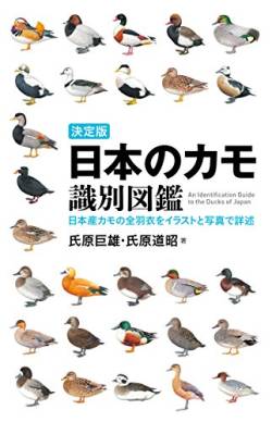 【画像】 Wikipediaさん、感動的なメッセージを読者に送る