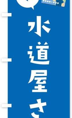 水道屋「あー、詰まってますねこれは、タンパク質か何か固まって…」 母「タンパク質？」 姉「ｗｗｗ」肘ﾂﾝﾂﾝ ぼく「」