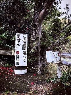 【怖い】順路の看板が得体の知れないナニカに誘われてるみたいで帰ろうかと思った