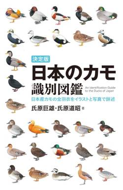 【画像】超高級「鴨料理フレンチ」の店に来たwwwwww