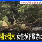 【悲報】キャンプ好き夫婦、テントで寝てたら倒木の下敷きになって嫁だけ亡くなってしまう