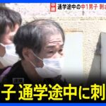 【衝撃】中学１年刺される、無職の男(61)を現行犯逮捕