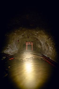 水没坑道を進んだ先で発見した鳥居