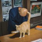 【画像】神秘の瞬間！猫と住職が交信する不思議な絆