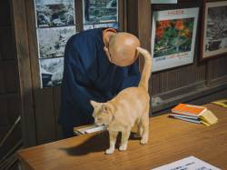 【画像】神秘の瞬間！猫と住職が交信する不思議な絆