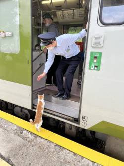 釜石線は猫による無賃乗車対応の為、30秒遅れです