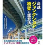 【地獄】女さん「隅田川の花火見たいなー」男「任せとけ」→首都高で停車し花火を見る馬鹿続出