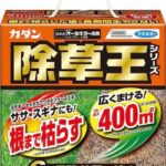 【緊急速報】ビッグモーター元店長、パワハラで会社を訴える→直後に事故死