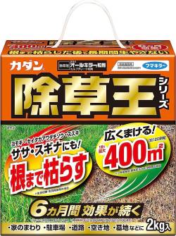 【緊急速報】ビッグモーター元店長、パワハラで会社を訴える→直後に事故死