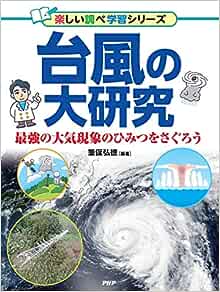 【緊急】沖縄、ガチで壊滅中。