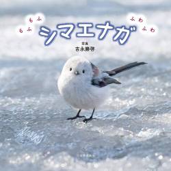 【衝撃】日本の鳥『シマエナガ』白人様にバレる