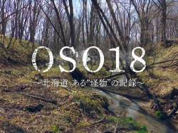 【画像悲報】最強熊OSO18、変わり果てた姿で発見される