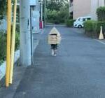 息子が家のふりをしながら帰宅している