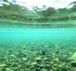 【衝撃映像】これが海水と淡水の境界線。