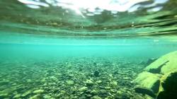 【衝撃映像】これが海水と淡水の境界線。