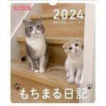 【画像】もちまろ日記、ランニングマシーンに猫を歩かせる禁止行為をしてしまい炎上