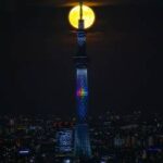 スーパーブルームーンと東京スカイツリーが重なる奇跡🌕