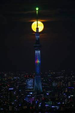 スーパーブルームーンと東京スカイツリーが重なる奇跡🌕