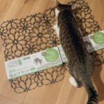 【朗報画像】猫よけマットを買ってみたんだけど敷く前から効果ないのわかりました