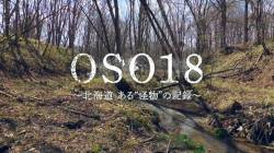 【衝撃事実】北海道で家畜を荒らし回ったOSO18さん、栄養失調で暴れ回っていただけの弱熊だった……