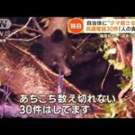 【動画】クマ抗議電話女「熊を殺すな！人間が悪いの！私は都会住みだけど！！｣