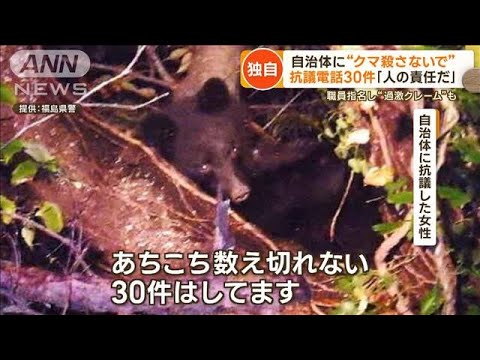 【動画】クマ抗議電話女「熊を殺すな！人間が悪いの！私は都会住みだけど！！｣