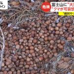 【悲報】親クマ派、ついに登山道にドングリ散布か　