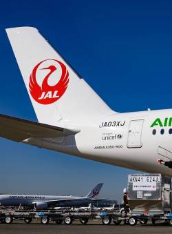 【終了】JAL、死亡確認。