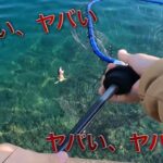 【地獄】YouTuber、海で釣りをしていたところ偶然にも海面に浮かんでいる子猫を発見　救助し71万再生