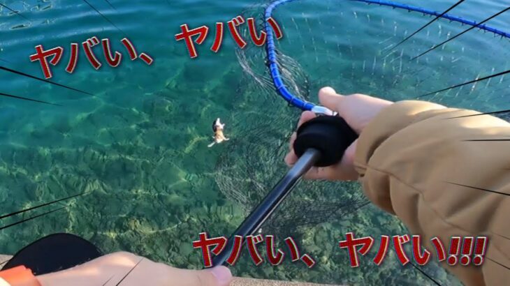 【地獄】YouTuber、海で釣りをしていたところ偶然にも海面に浮かんでいる子猫を発見　救助し71万再生