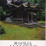 【石川能登地震】神社の建造物が倒壊しない理由。先人の知恵が凄すぎる