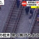 【衝撃映像】JR新幹線の感電事故、ヤバすぎる模様