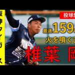 【緊急悲報】阪神がドラフト2位で獲得した最速159キロ投手の投げる球、ガチでヤバい