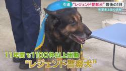 【衝撃映像】犬カス、全ての黒幕と判明。。。