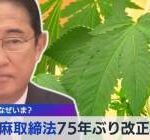 科学者「大麻自由化で被験者が爆増したから分かったけど重度の依存性あるわ、コカインより酷くて草」