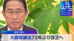 科学者「大麻自由化で被験者が爆増したから分かったけど重度の依存性あるわ、コカインより酷くて草」