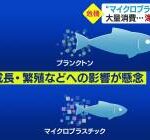 【緊急】マイクロプラスチックさん、なんか突然ヤバい事になる