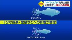 【緊急】マイクロプラスチックさん、なんか突然ヤバい事になる