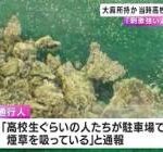 【衝撃】大麻を極めた高校生、こうなってしまう