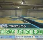 もやし協会会長、一大決心。「一袋50円でも食べたくなるもやしを作らないといけない」