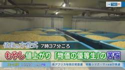 もやし協会会長、一大決心。「一袋50円でも食べたくなるもやしを作らないといけない」