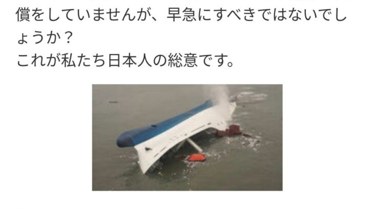 【捏造】セウォル号って日本製なのか！？と思って調べたら初っ端からこれで鬱。お前、そのアイコンと名前でその思想はエグい。 【HotTweets】