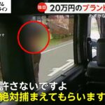 【動画】女さん「酷い！助手席の見える所に20万の財布置いて施錠せずに車を離れたら財布盗まれた！許せない！」