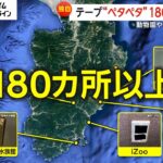 【公開処刑】コンセントに絶縁テープを貼りまくるミニスカ女子さん、うっかり“年齢”がバレてしまうｗｗｗｗｗｗｗｗ