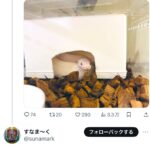 【HotTweets】落合福嗣さん、サラッとテレビ局の悪事を暴露してて笑った。