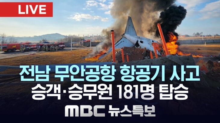 【決定的瞬間】韓国の航空機、壁に激突して爆発炎上→原因がこれ