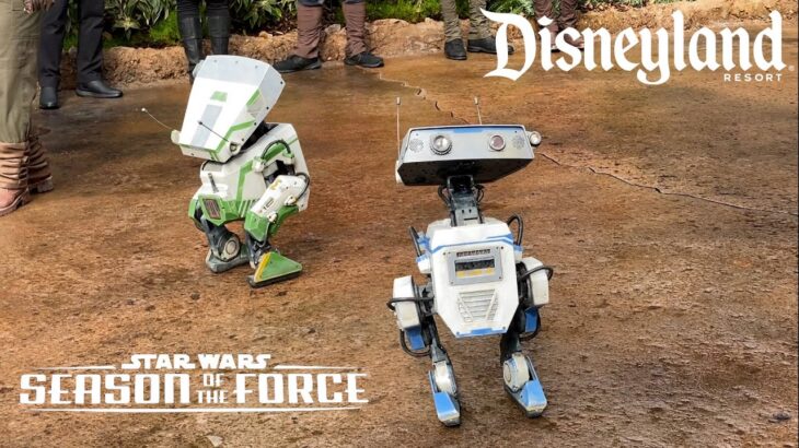 【朗報】東京ディズニーランドにスターウォーズの可愛いロボットがやってくる！→スターウォーズエリアが日本でも・・・？