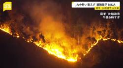 【緊急】大船渡の山火事、とうとう“真実”に辿り着いてしまう